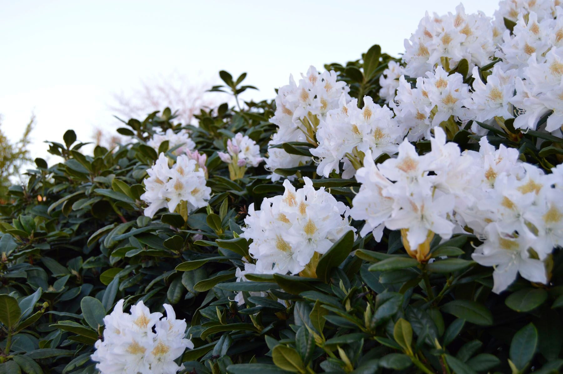 Loša Ishrana i zdrava koža ne idu zajedno